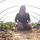 Poki in greenhouse.thumb
